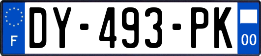 DY-493-PK