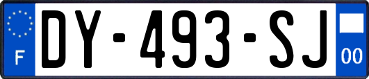 DY-493-SJ