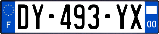 DY-493-YX