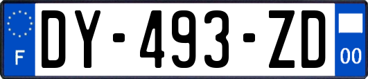 DY-493-ZD