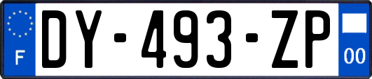 DY-493-ZP