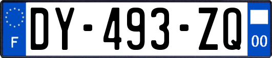 DY-493-ZQ