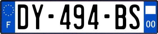 DY-494-BS