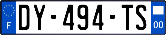 DY-494-TS