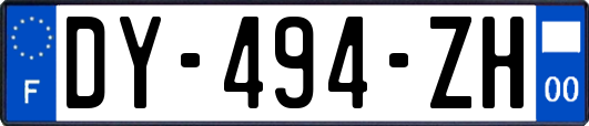 DY-494-ZH