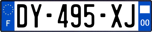 DY-495-XJ