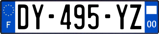 DY-495-YZ