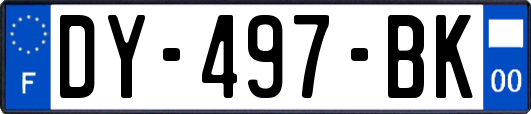 DY-497-BK