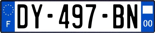DY-497-BN