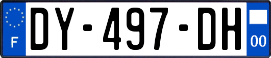 DY-497-DH