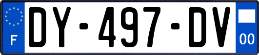 DY-497-DV