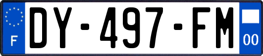 DY-497-FM