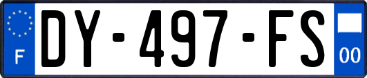 DY-497-FS