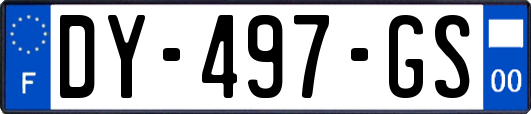 DY-497-GS