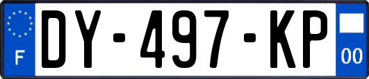 DY-497-KP