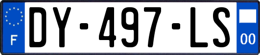 DY-497-LS