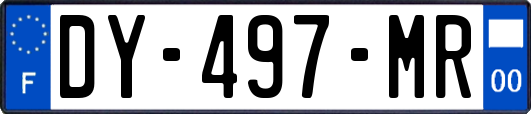 DY-497-MR