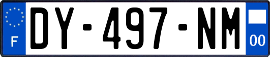 DY-497-NM