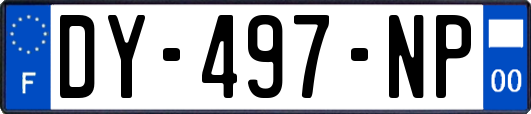 DY-497-NP