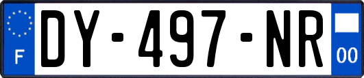 DY-497-NR