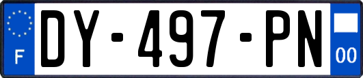 DY-497-PN