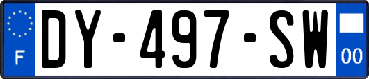 DY-497-SW