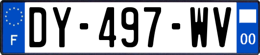 DY-497-WV