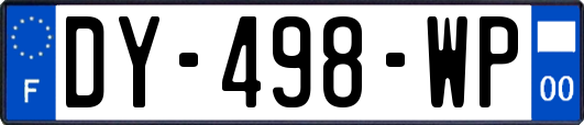 DY-498-WP