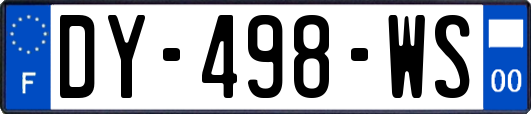 DY-498-WS