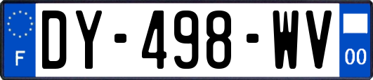 DY-498-WV