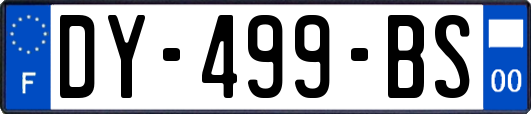 DY-499-BS