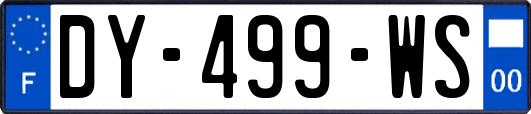 DY-499-WS