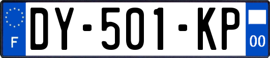 DY-501-KP