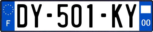 DY-501-KY