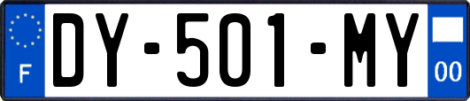 DY-501-MY