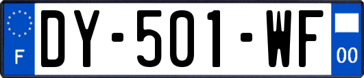 DY-501-WF