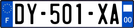 DY-501-XA