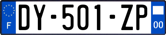 DY-501-ZP