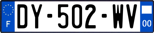 DY-502-WV