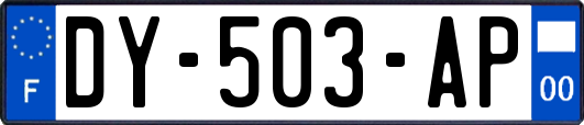 DY-503-AP