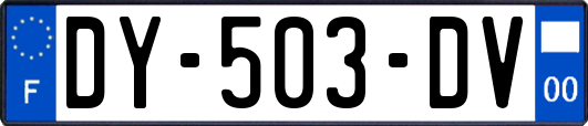 DY-503-DV