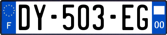 DY-503-EG