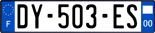 DY-503-ES