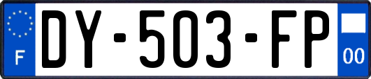 DY-503-FP