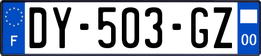 DY-503-GZ