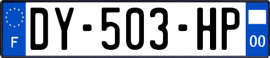 DY-503-HP