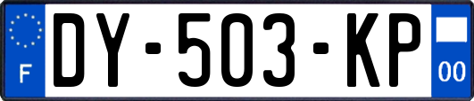 DY-503-KP