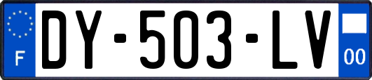 DY-503-LV