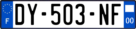 DY-503-NF
