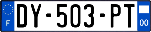 DY-503-PT